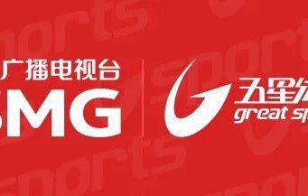 bti体育登录入口-红旗搅局比赛提前结束 张雪机车荷兰站第二回合第七